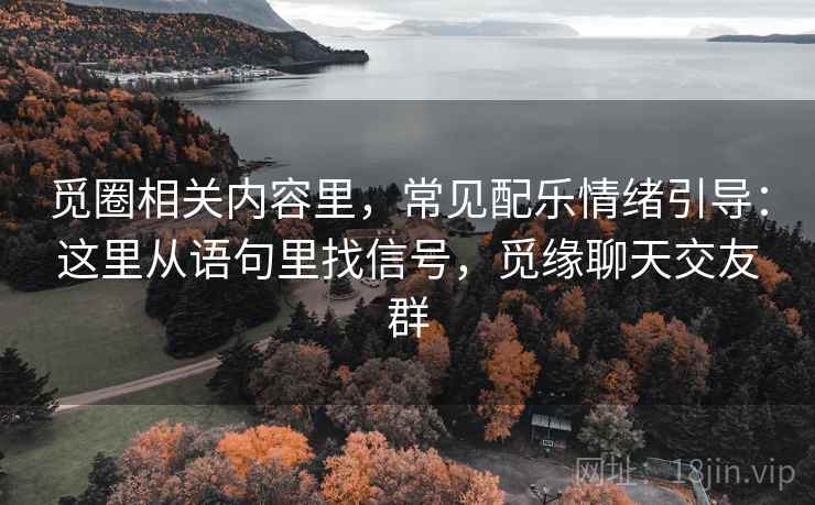 觅圈相关内容里，常见配乐情绪引导：这里从语句里找信号，觅缘聊天交友群  第1张